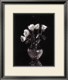 Buy Dramatic Roses at AllPosters.com