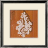 Buy Autumn Leaves II at AllPosters.com