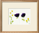 Buy Untitled IV at AllPosters.com