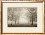 Buy Layers of Trees II at AllPosters.com