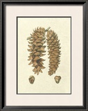 Crackled Woodland Pinecones III