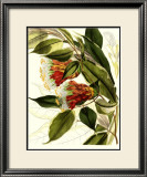 Fantastical Botanical II