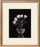 Buy Dramatic Roses at AllPosters.com