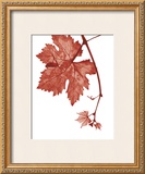 Buy Red Bud at AllPosters.com