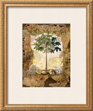Buy Lace and Papaya at AllPosters.com