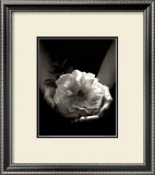 Buy Offrande at AllPosters.com