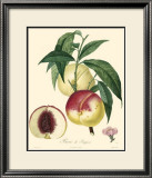 Buy Peaches at AllPosters.com