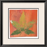 Autumn Leaves