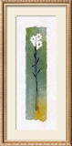 Buy Daisies on Green Wash Papyrus at AllPosters.com