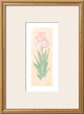 Buy Iris Soliloquy I at AllPosters.com