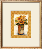 Primrose II