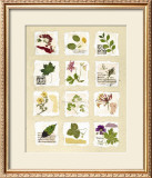 Buy Kent Garden Fragments at AllPosters.com