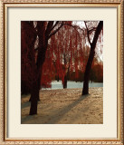 Buy Autumn Snow I at AllPosters.com