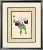Buy Fitch Orchid I at AllPosters.com