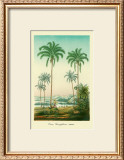 Buy Coco Palm at AllPosters.com