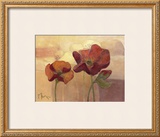 Buy Poppy Dream at AllPosters.com