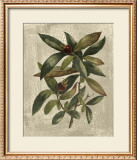 Buy Deshayes Tree III at AllPosters.com