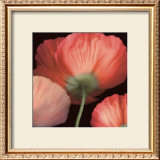 Buy Celebration I at AllPosters.com