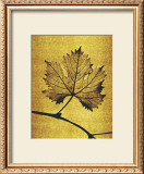 Buy Golden Time I at AllPosters.com