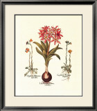 Botanical IV