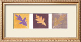 Buy Leaf Impressions II at AllPosters.com