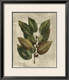Buy Deshayes Tree IV at AllPosters.com