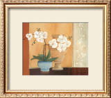 Buy Weibe Orchideen II at AllPosters.com