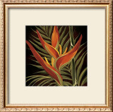 Buy Birds of Paradise I at AllPosters.com