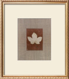 Buy Silver Leaf III at AllPosters.com