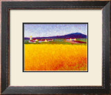 Buy Fields of Gold at AllPosters.com
