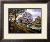 Country Reflections Framed Art Print
