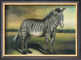 Buy Zebra at AllPosters.com
