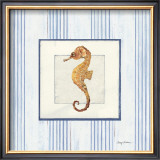 Sanibel Shell IV