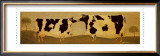 Kissing Cows