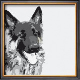 Shepherd