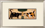 Two Cats