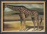 Buy Giraffe at AllPosters.com