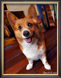 Corgi Get Low