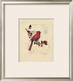Filigree Cardinal