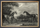 Buy King Herod and Flying Childers at AllPosters.com