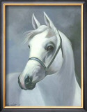 Buy Palomino at AllPosters.com