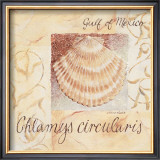 Buy Gulf of Mexico at AllPosters.com