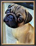 Baby Puglet