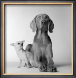 Buy Max and Roxie at AllPosters.com