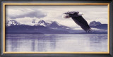 Buy Silent Quest at AllPosters.com