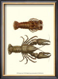 Buy Antique Lobster III at AllPosters.com