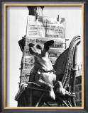 Buy Boulevard Poissonie`re, c.1957 at AllPosters.com