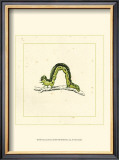 Buy Green Inchworm at AllPosters.com