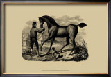Horse and Horsemen VI