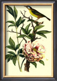 Buy Bird in Nature III at AllPosters.com